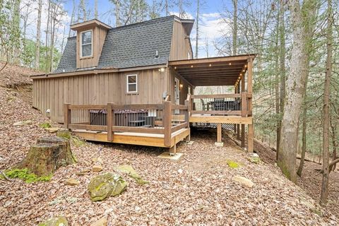 360 Indigo Drive Ellijay GA 30540