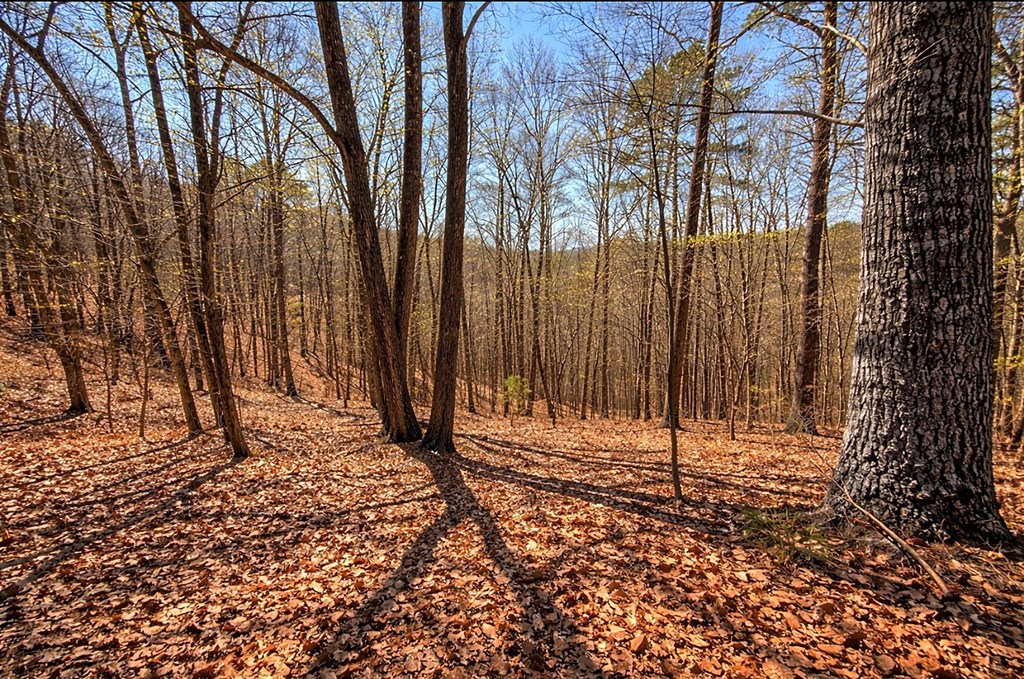 Lot 37 Clear Creek Acres