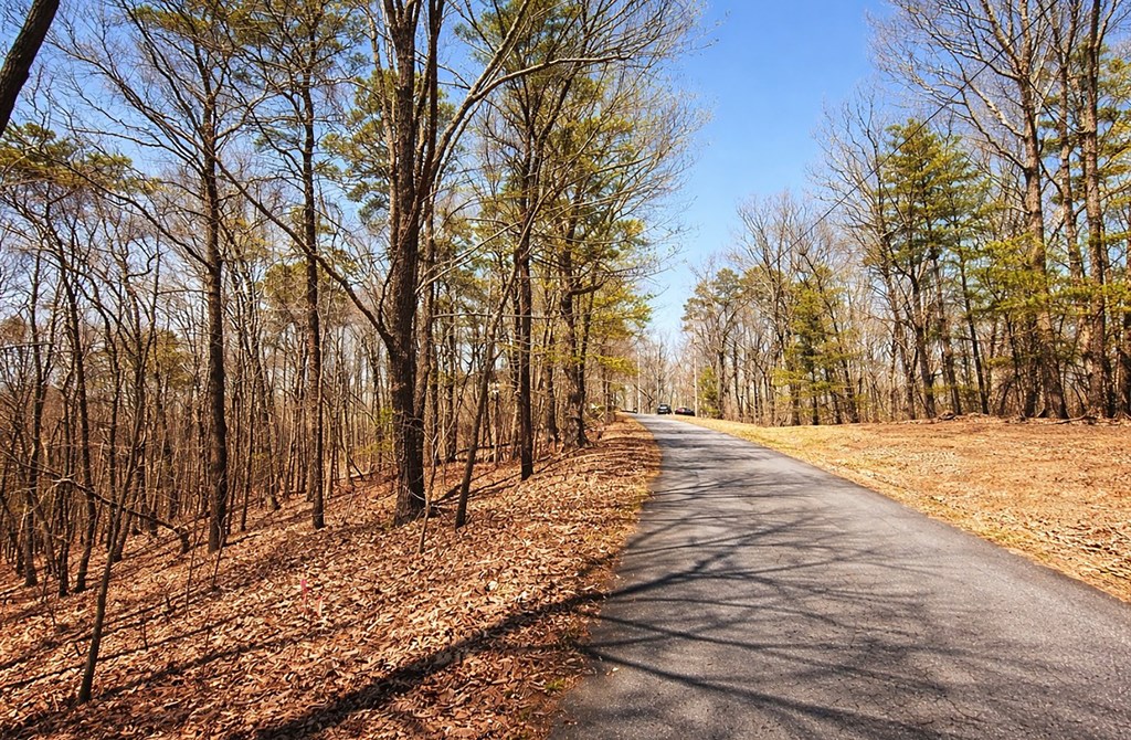 Lot 37 Clear Creek Acres