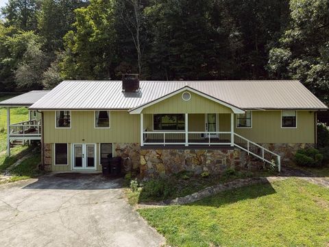 149 Spring Street Mineral Bluff GA 30559