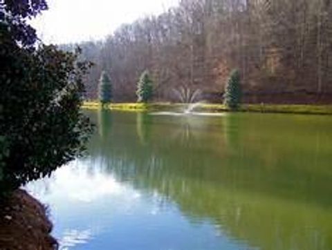 A home in Ellijay