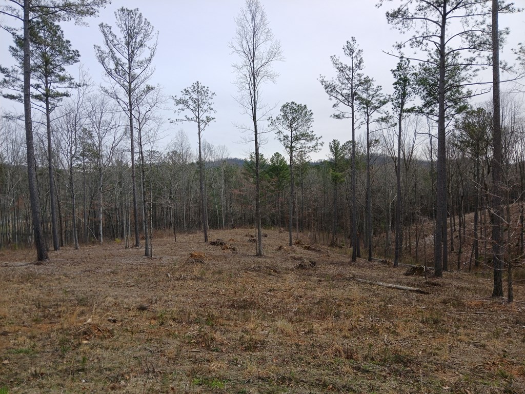 Lot 337 Timber Creek Trail