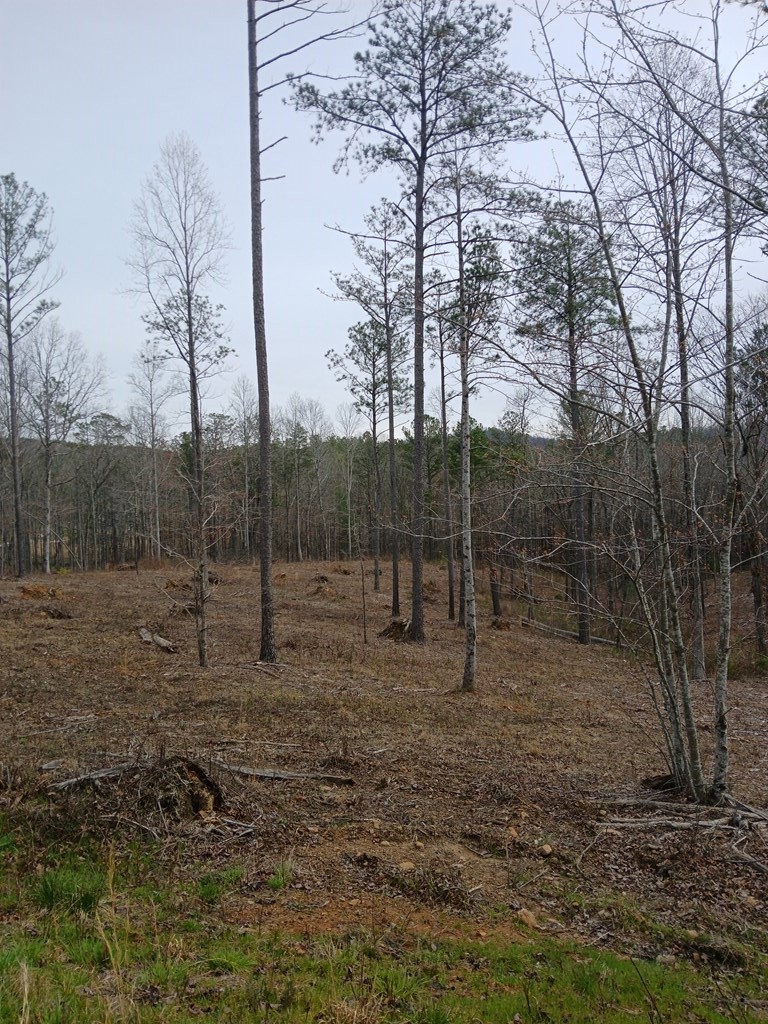 Lot 337 Timber Creek Trail