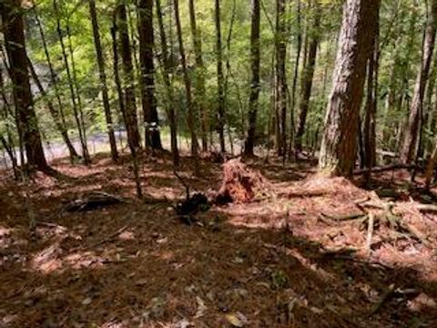 Lot 278 Guidon Ellijay GA 30540