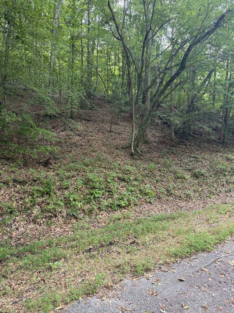 00 Henson Road