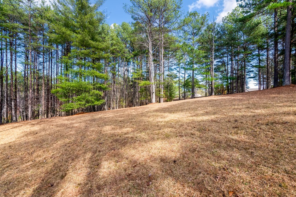 Lot 87 The Sanctuary