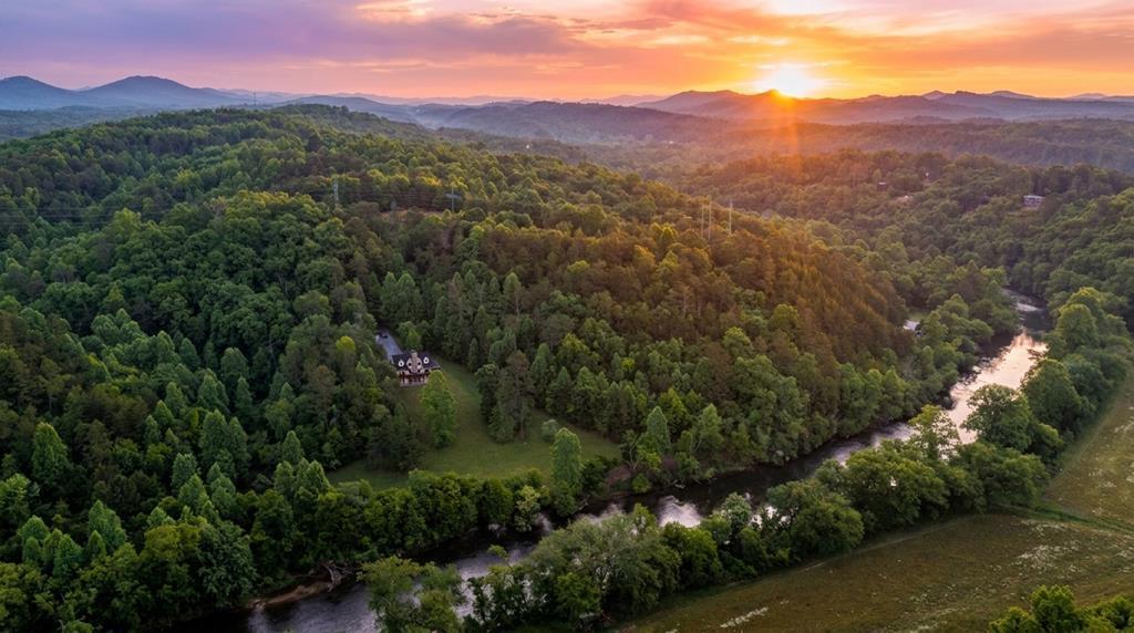 661 Toccoa River Forest