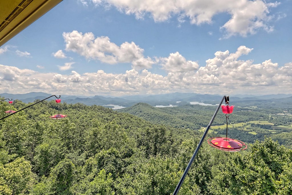 1212 Double Knob Drive E