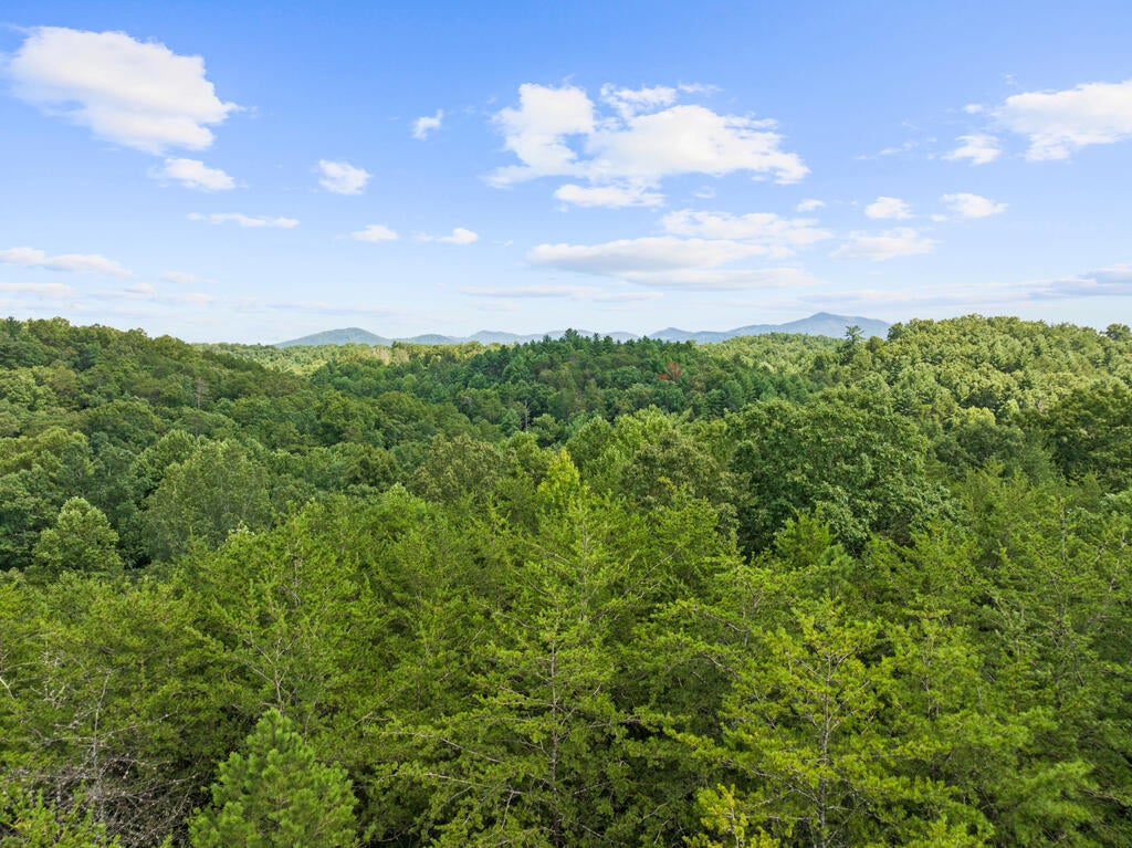 lot 6 Timber Lane Court