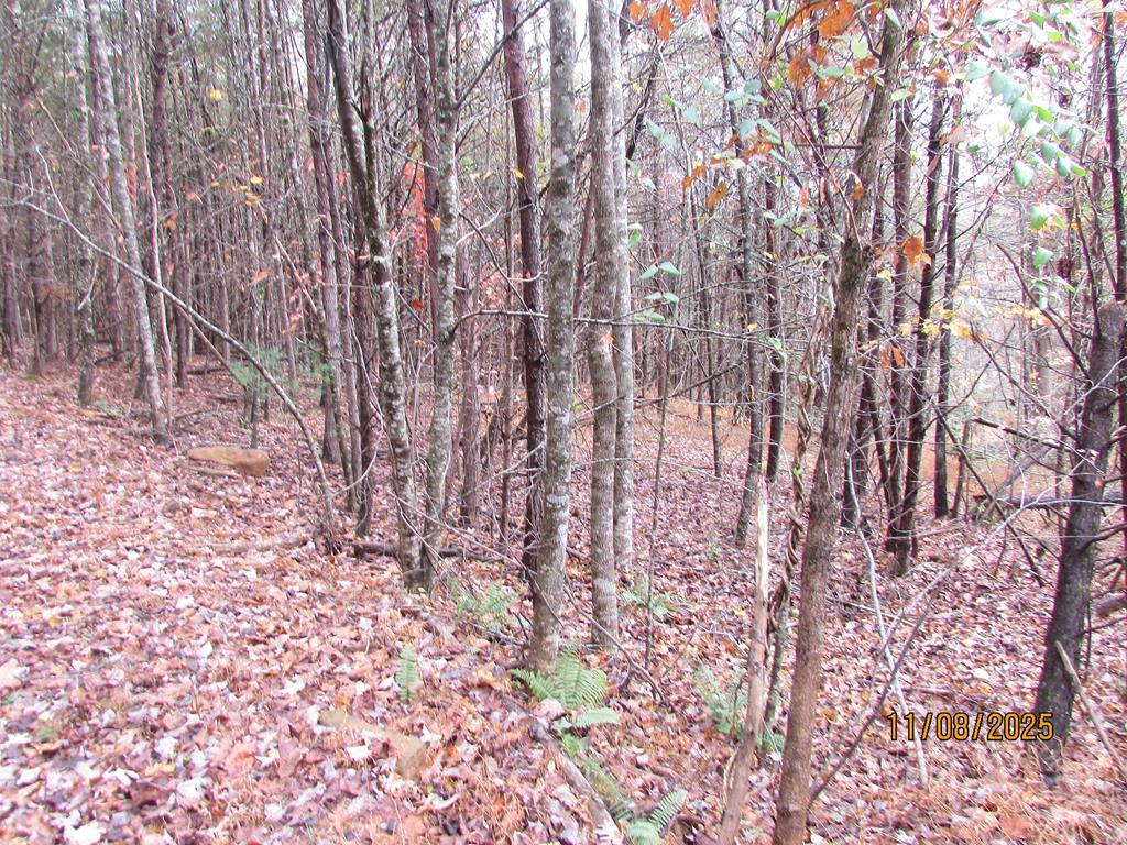 Tract 5 Wikle Road
