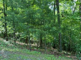 Lot 10 Trillium Heights