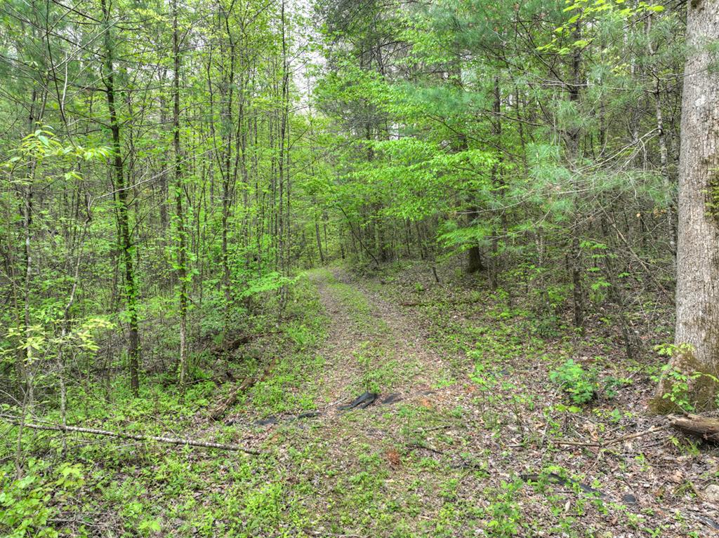 Lot 14 Watersong Trail