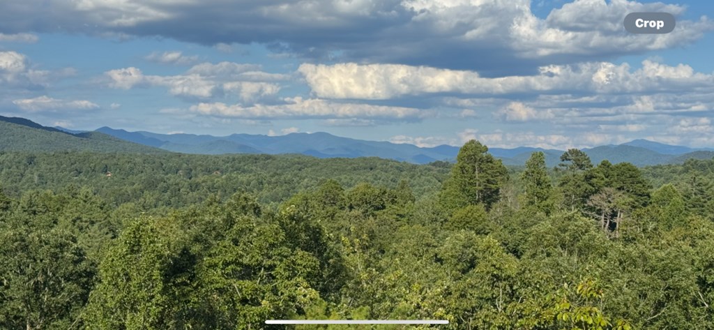 383 Point Overlook Trail