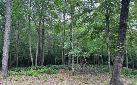 Lot 19 Brasstown Trails Brasstown NC 28909