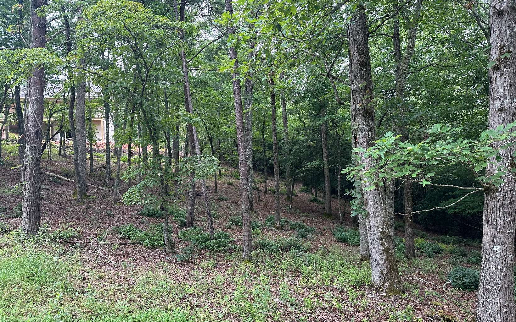 Lot 19 Brasstown Trails