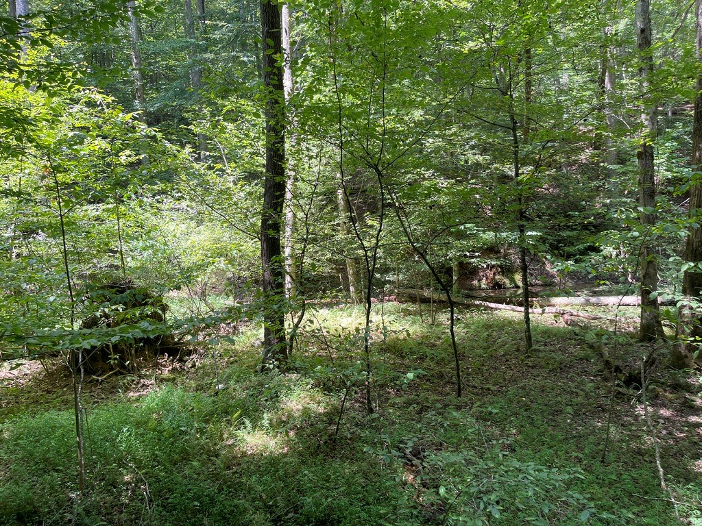 LOT 223 Bowline Drive