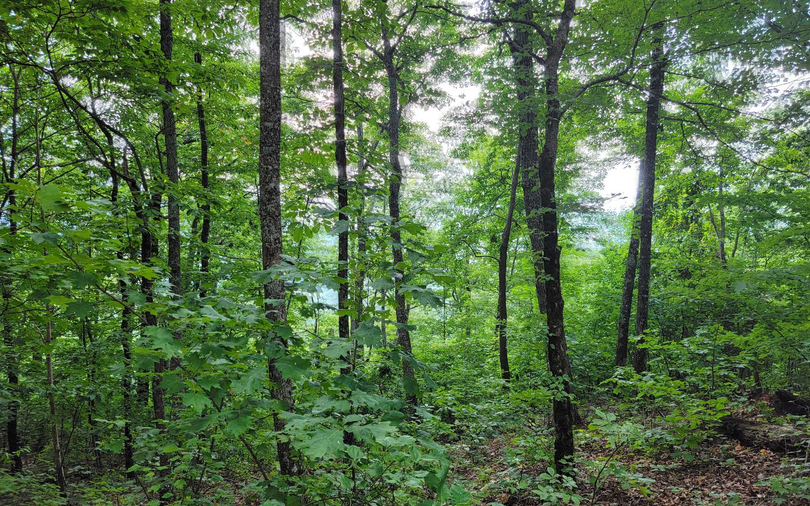 24 & 25 Oak Ridge North