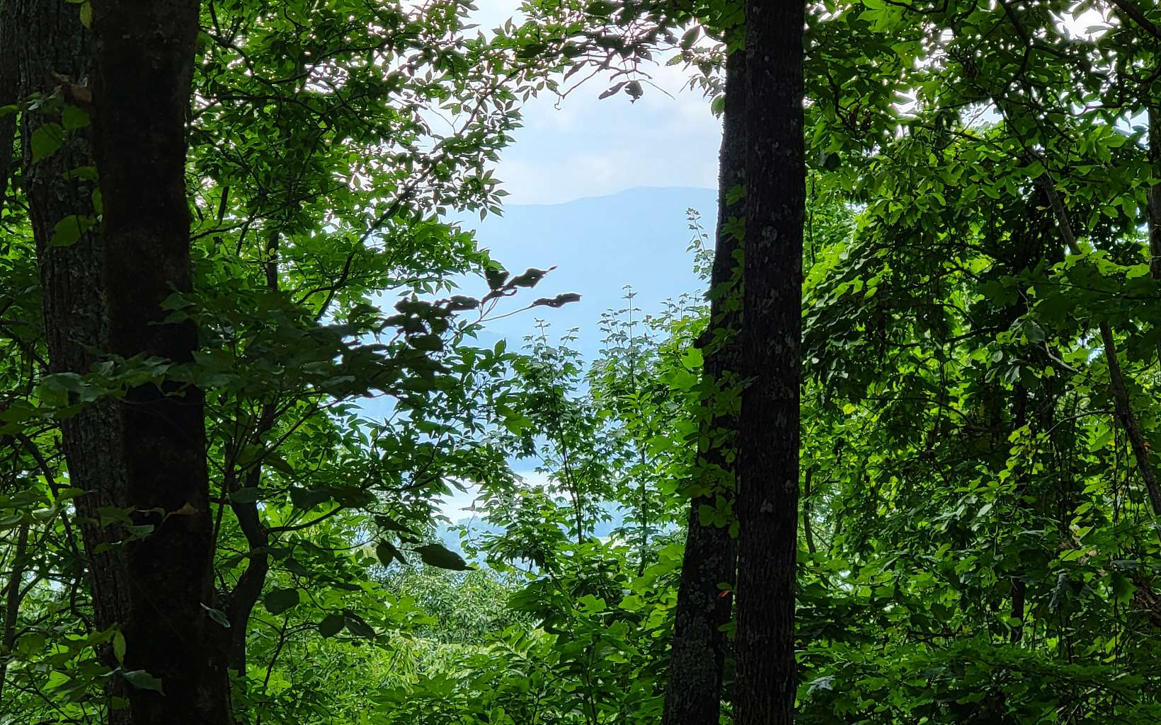 24 & 25 Oak Ridge North