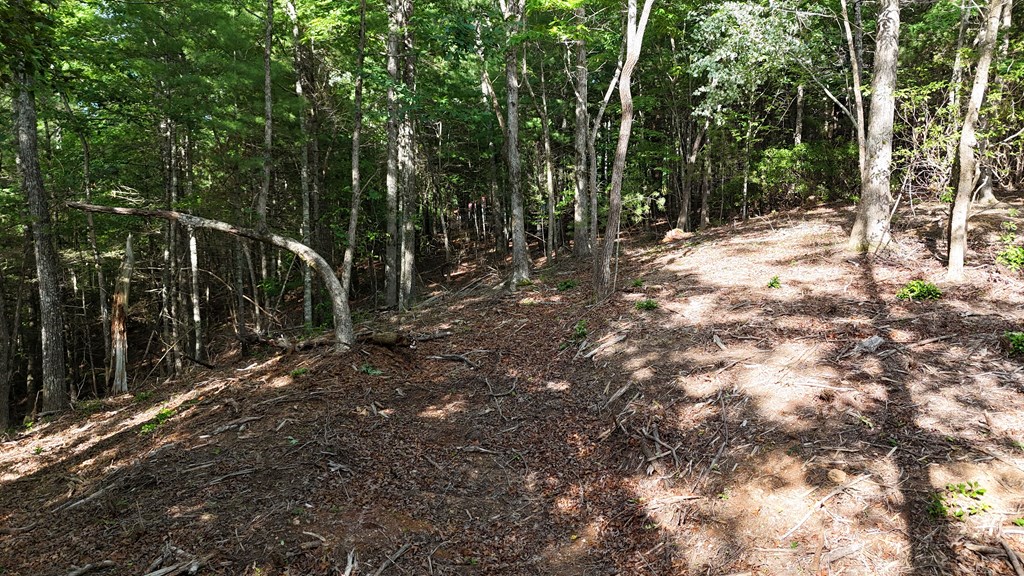 TR 2 E New Hope Road E