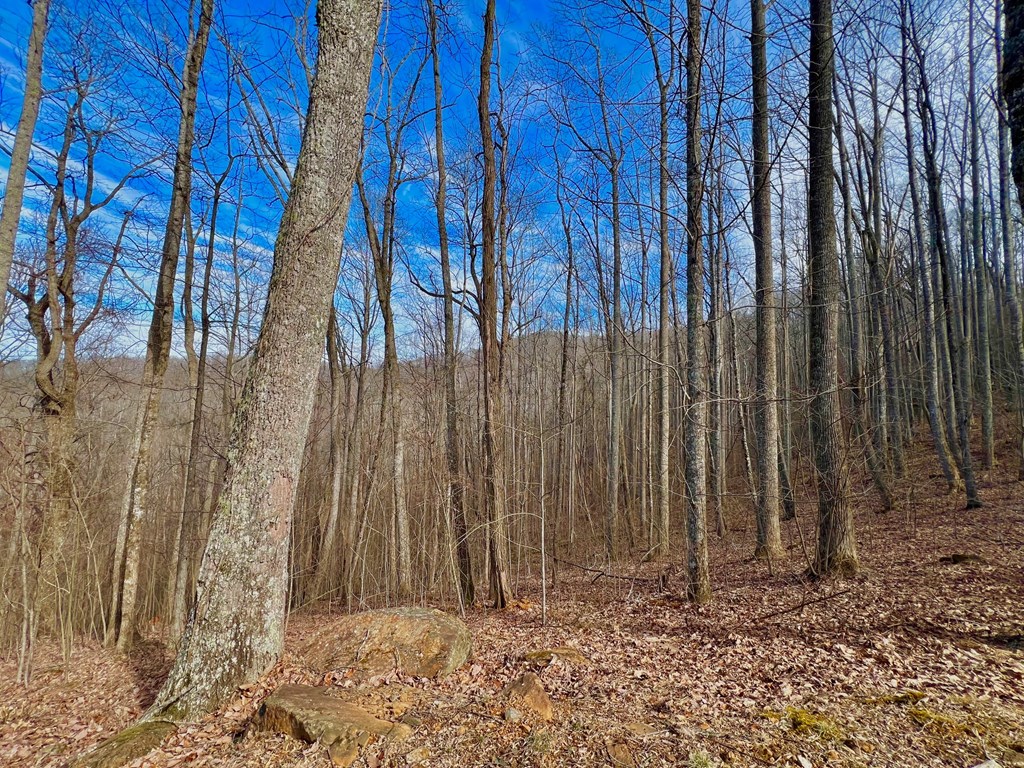 57 Rocky Knob Estates