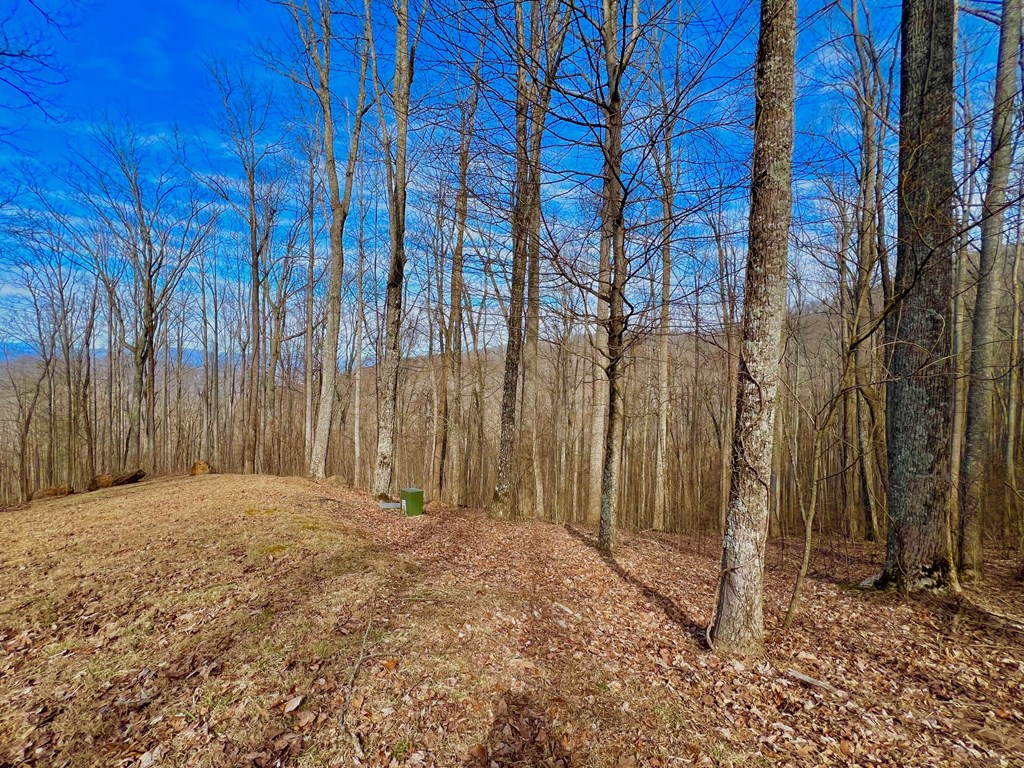 57 Rocky Knob Estates