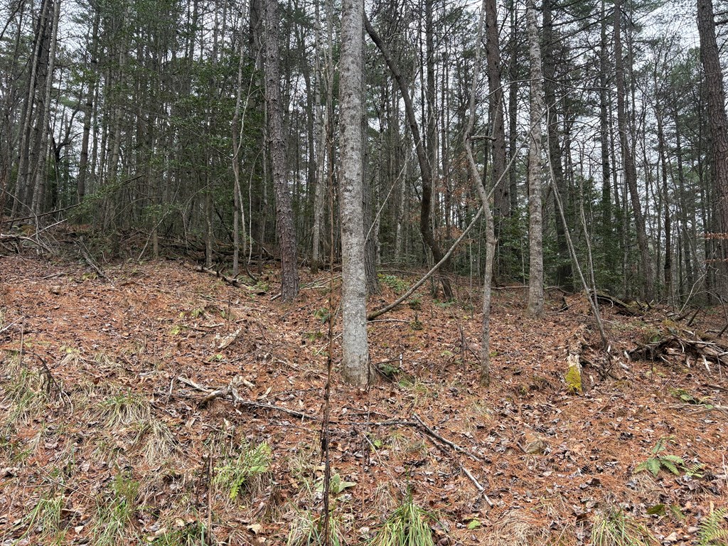 Tract 2 Fain Branch Road