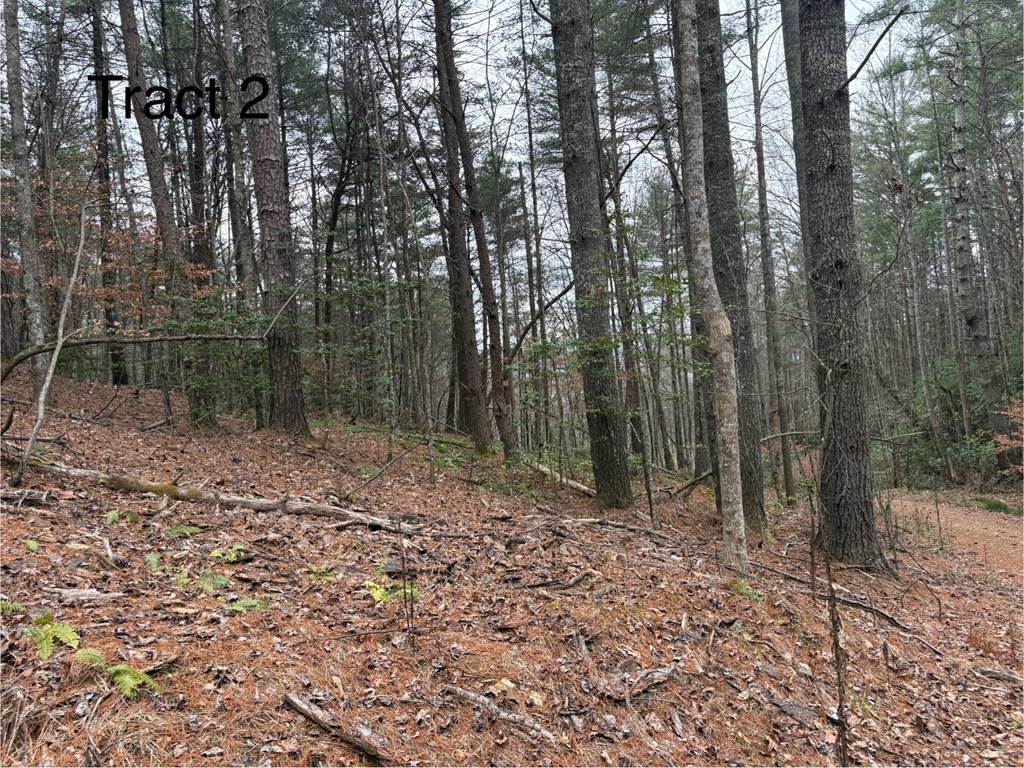 Tract 2 Fain Branch Road