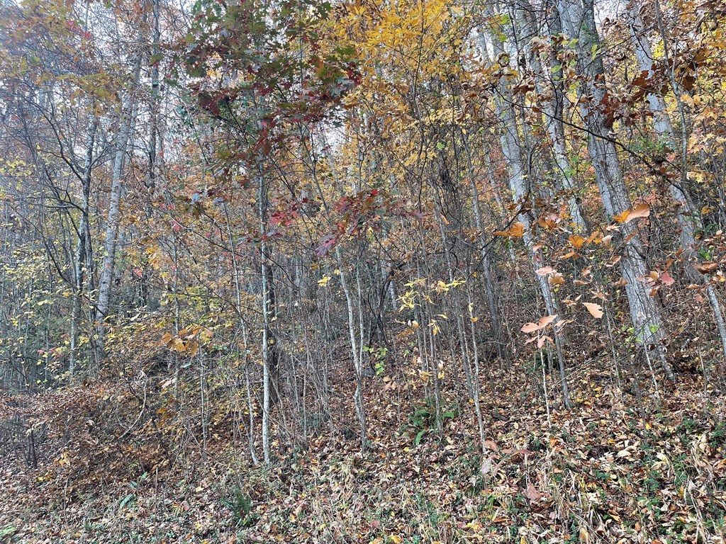 Lot 51J Indian Trail