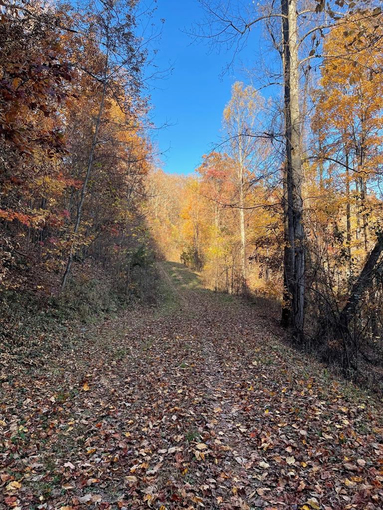 Lot 51J Indian Trail