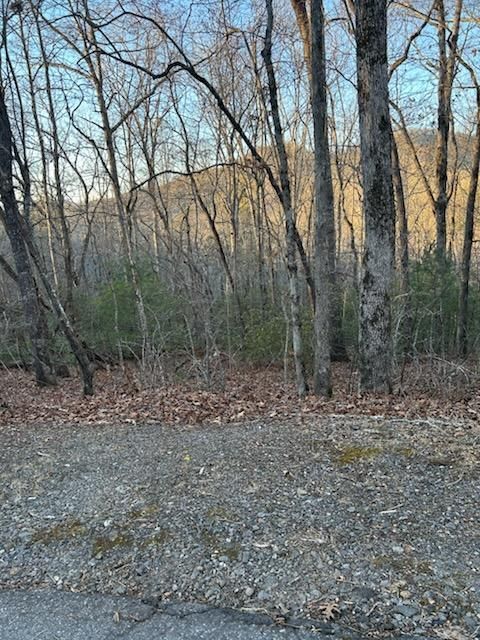 Lot 39 Konahetah Road Hiawassee GA 30546