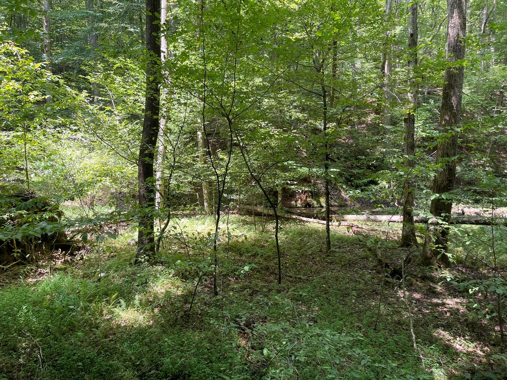 LOT 223 Bowline Drive