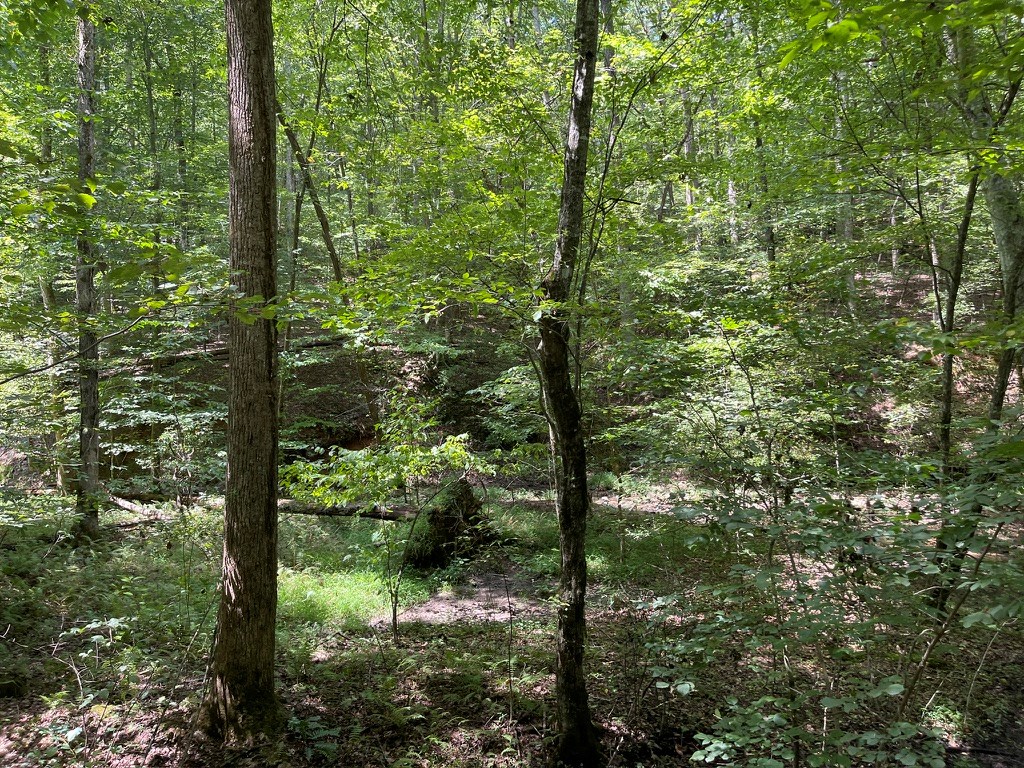 LOT 223 Bowline Drive