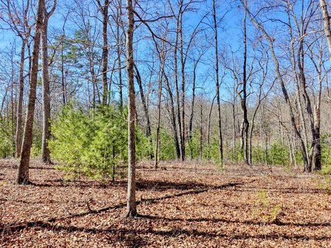 Lot 40 Lola Mae Way Morganton GA 30560