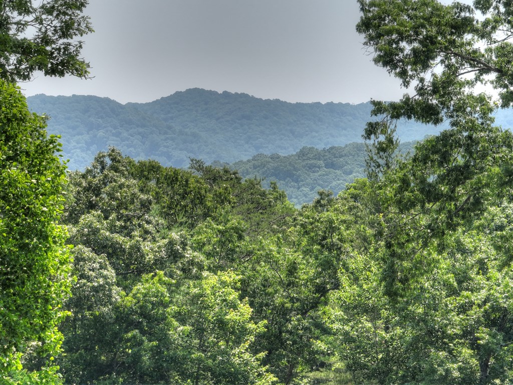 558 Tipton Springs Road