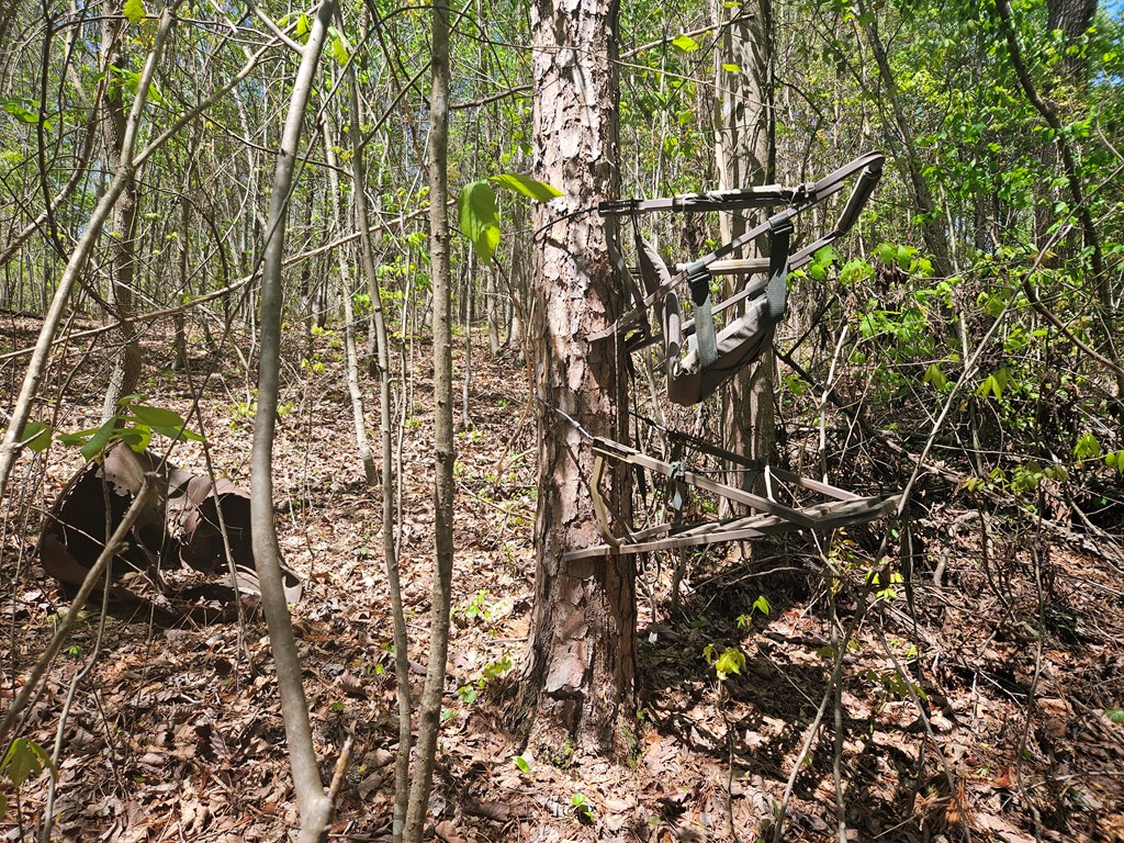 0 Maple Grove Church Road