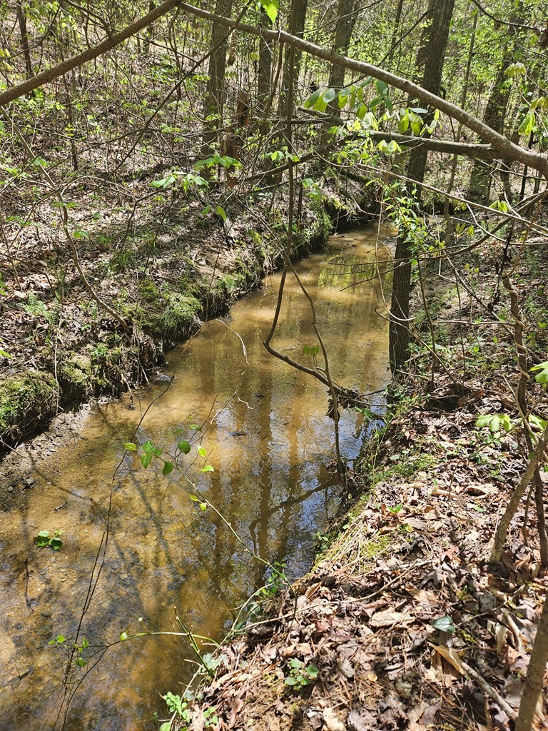 0 Maple Grove Church Road