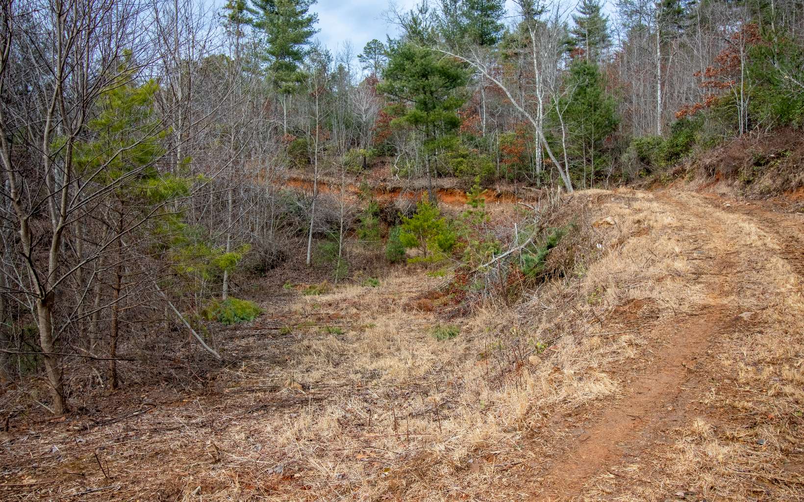00 Craig Farm Road