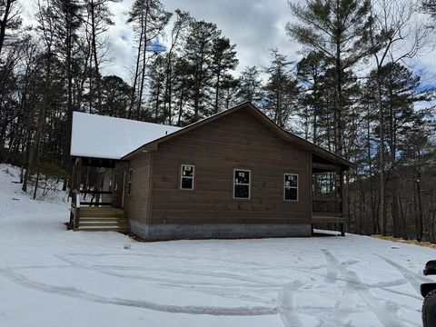 A home in Mineral Bluff