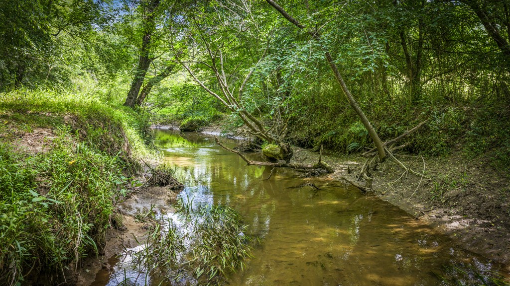 421 Twin Creeks