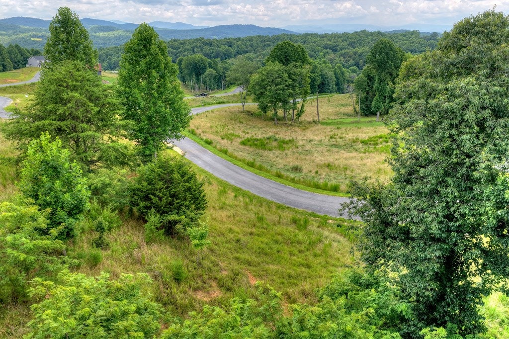 Lot 42 Big Valley Overlook