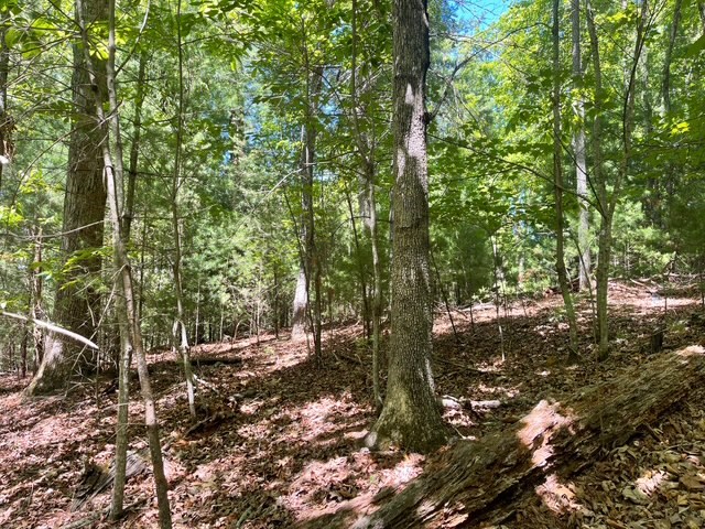 Lot 2 Mount Pleasant Ridge Road