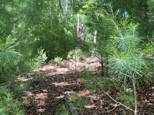 Lot 2 Mount Pleasant Ridge Road