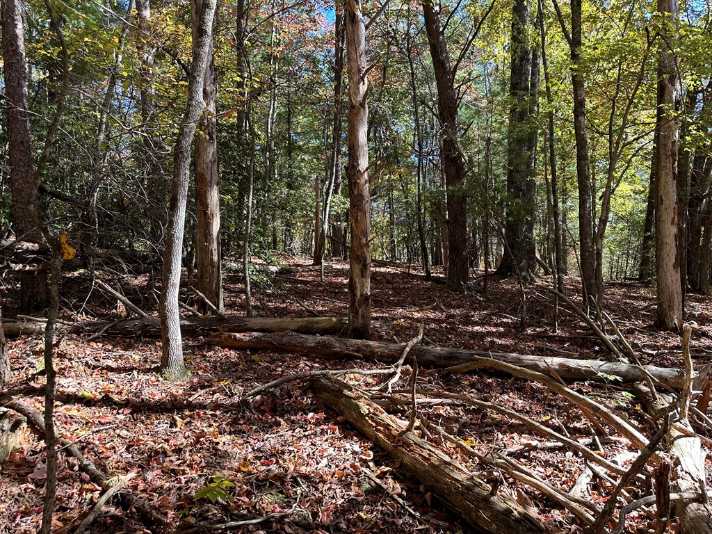 00 W Stover Creek Cove