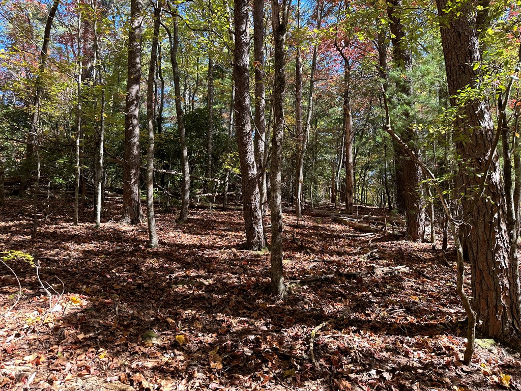 00 W Stover Creek Cove