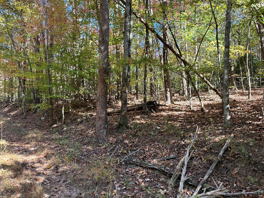 00 W Stover Creek Cove