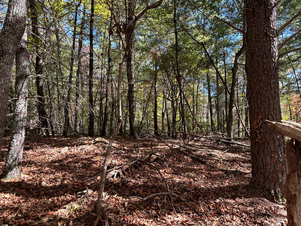 00 W Stover Creek Cove