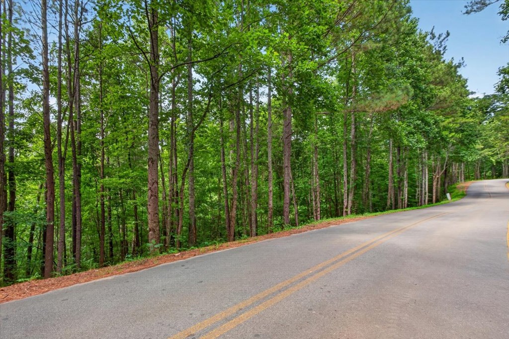 0 LOT 68 Ginger Drive