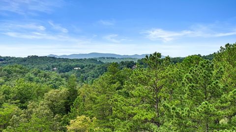 A home in Blue Ridge