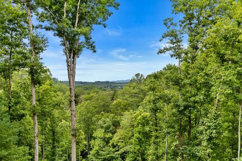 A home in Blue Ridge