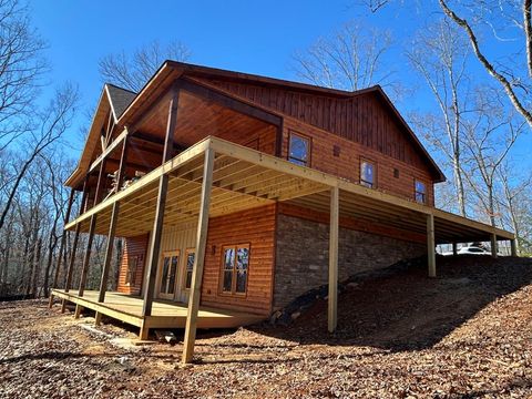 A home in Mineral Bluff